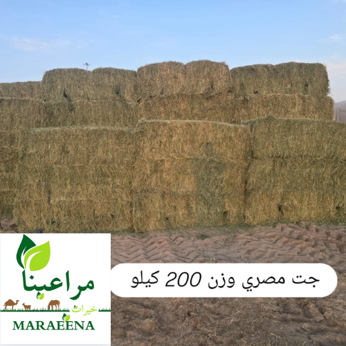 جت مصري 200 كيلو