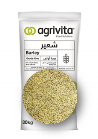 30kg شعير درجة اولى