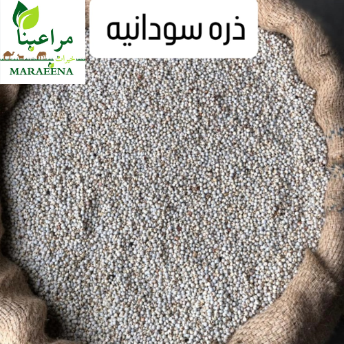 ذرة سودانية 50 كيلو