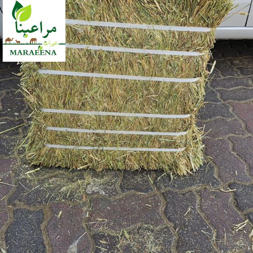 Timothy Hay USA - 50kg