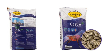 Havens Gastro+ - 20kg