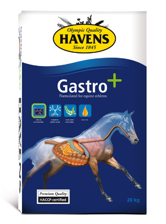 Havens Gastro+ - 20kg